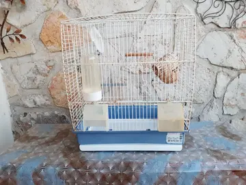 Cage oiseau