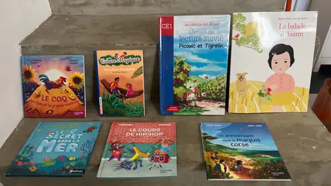 Lot de livres enfants 6-8 ans