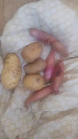 légumes