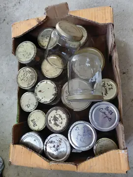 Donne pots en verre différentes tailles