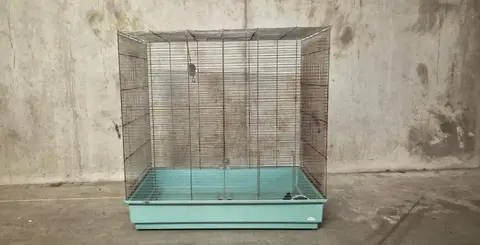 cage oiseaux