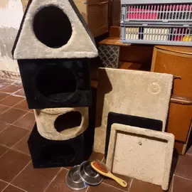 éléments structures arbre à chat
