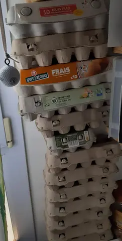 boîte œufs