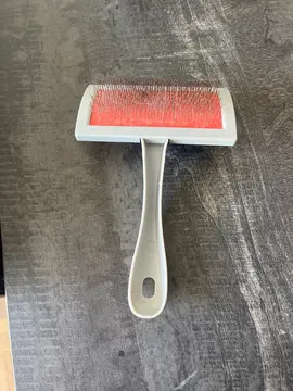 Brosse chat / chien