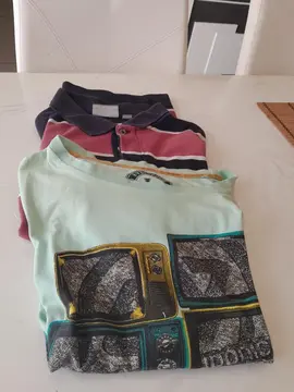 1 tee-shirt et 1 polo homme TL.