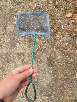 épuisette pour poissons aquarium