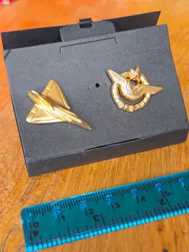 pins armée de l’air
