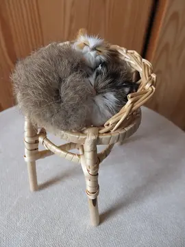 Figurine de chats