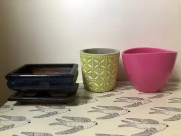 3 pots pour plantes