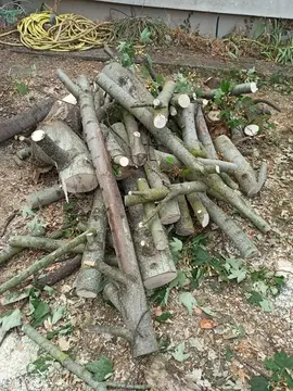 bois de chauffage
