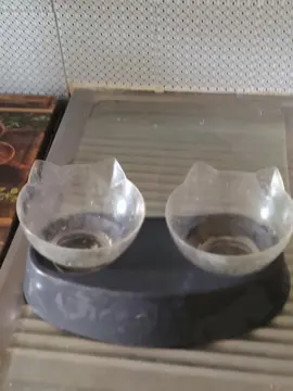 gamelle pour chat ou chien