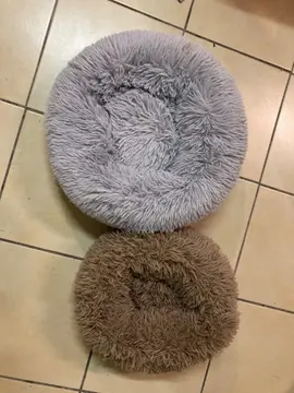 coussins pour chat ou petit chien