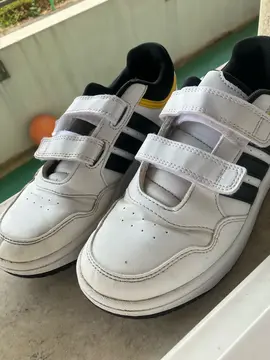 Baskets Adidas T34