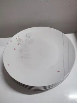 donne 9 assiettes plates