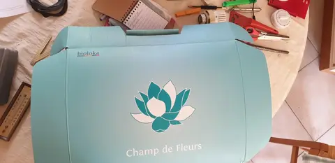 Tapis Champ de fleurs Traitement du dos