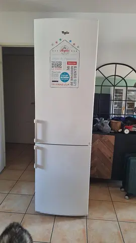 frigo congelateur