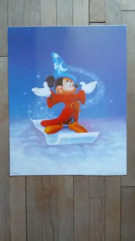 affiches Disney plastifiée- déco chambre