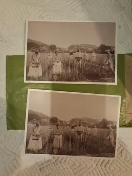cartes postales de Grasse