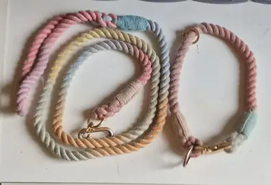 Laisse et collier