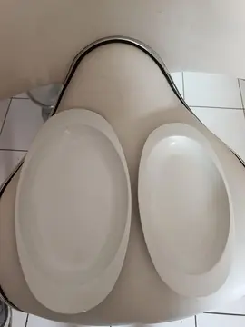 lot de deux plats ovale