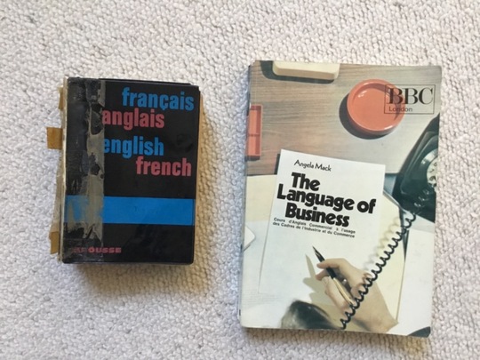 Lot 2 dictionnaires anglais/anglais des affaires