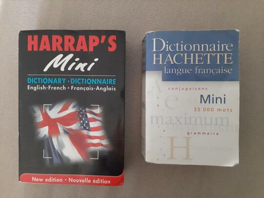 Lot de 2 mini dictionnaires