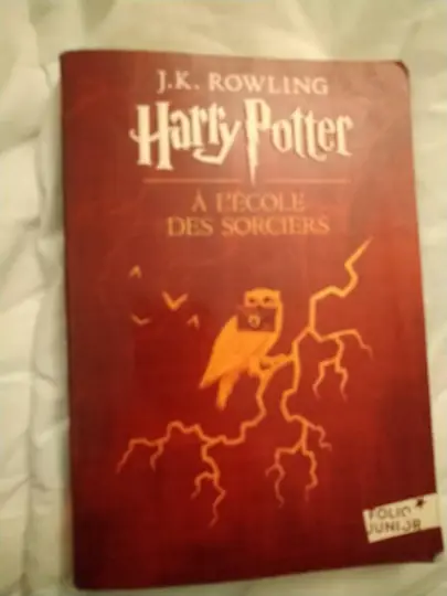 Livre Harry Potter à l' école des sorciers