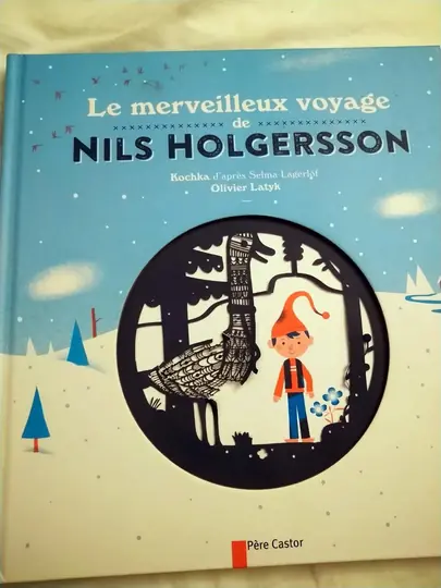 Livre Le merveilleux voyage de Nils Andersen