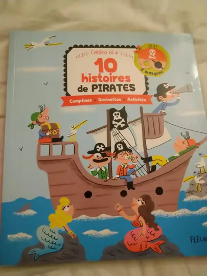 Livre 100 histoires de pirates