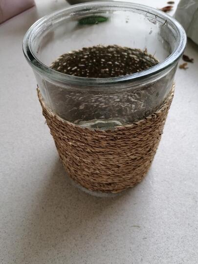 Cache pot pour plante en verre