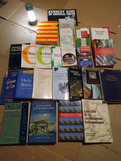 Lot de livres civi et littérature britannique/américaine, éco, droit...