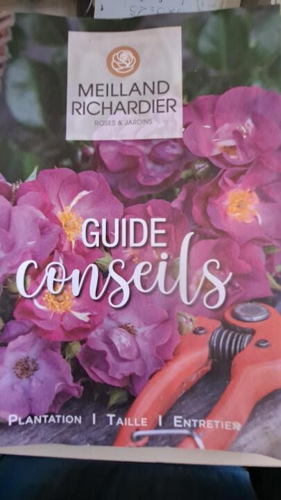 Guide de jardinage débutants
