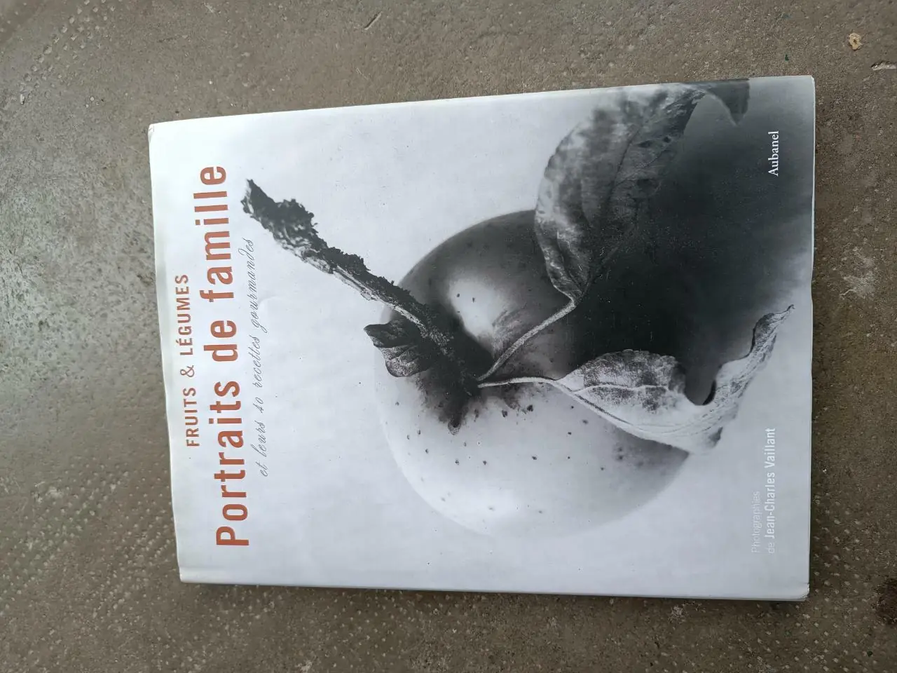 Don n°1