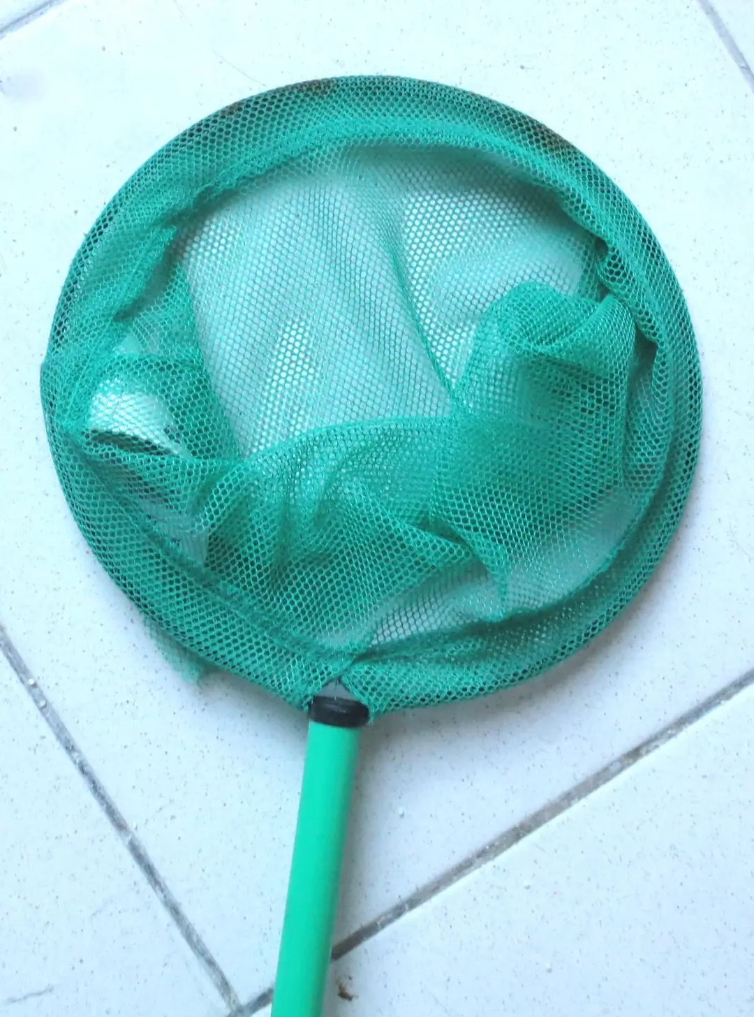 Don n°2