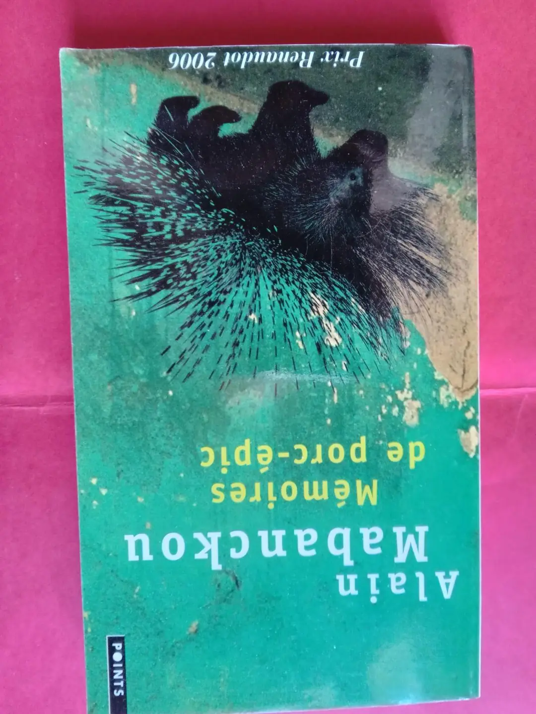 Don n°1