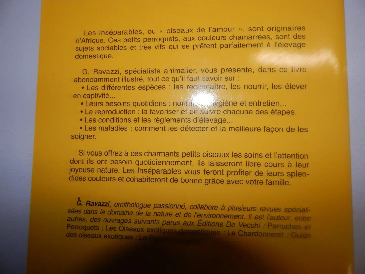 Don n°2