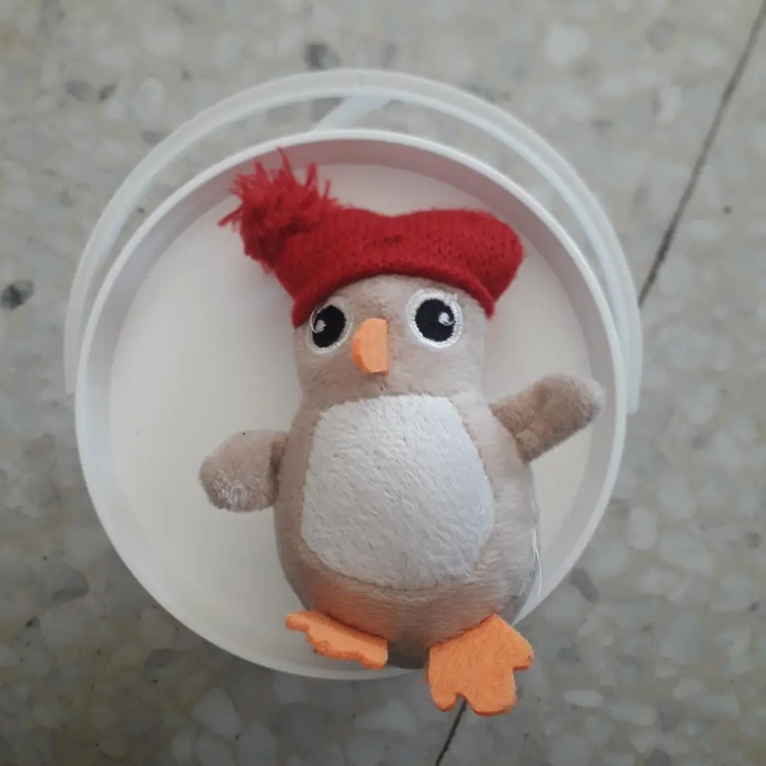 Don n°1