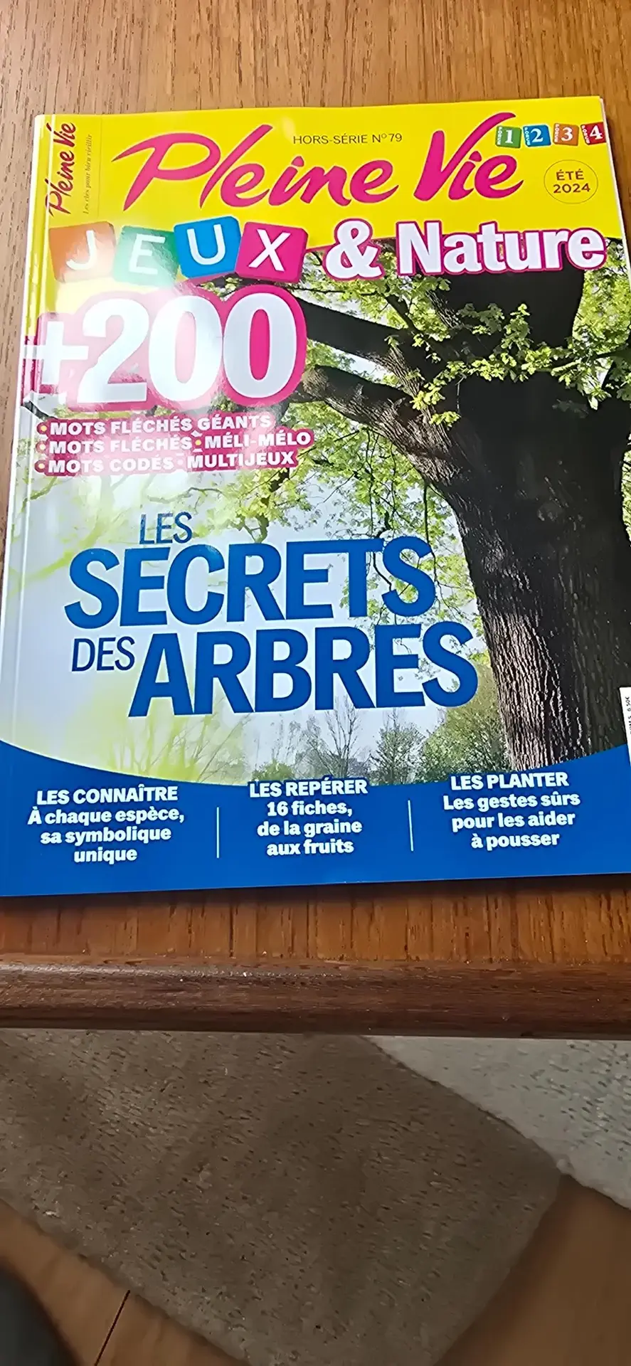 Don n°1