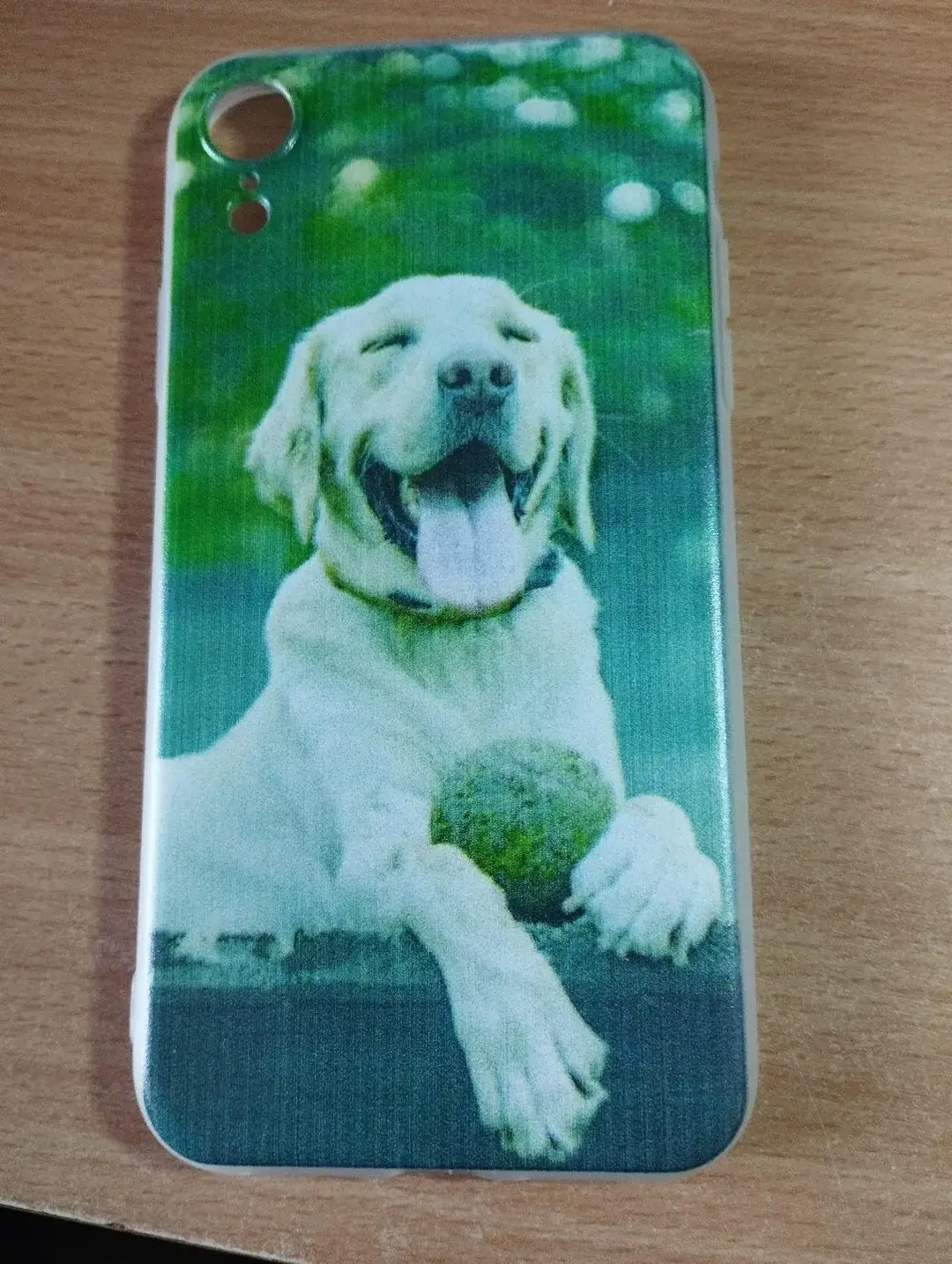 Don n°1