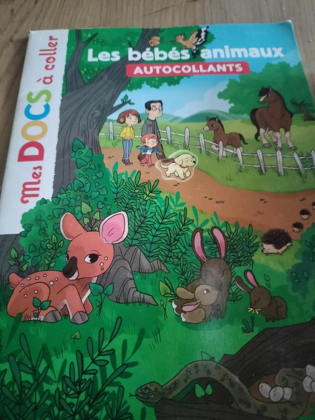 Don n°1