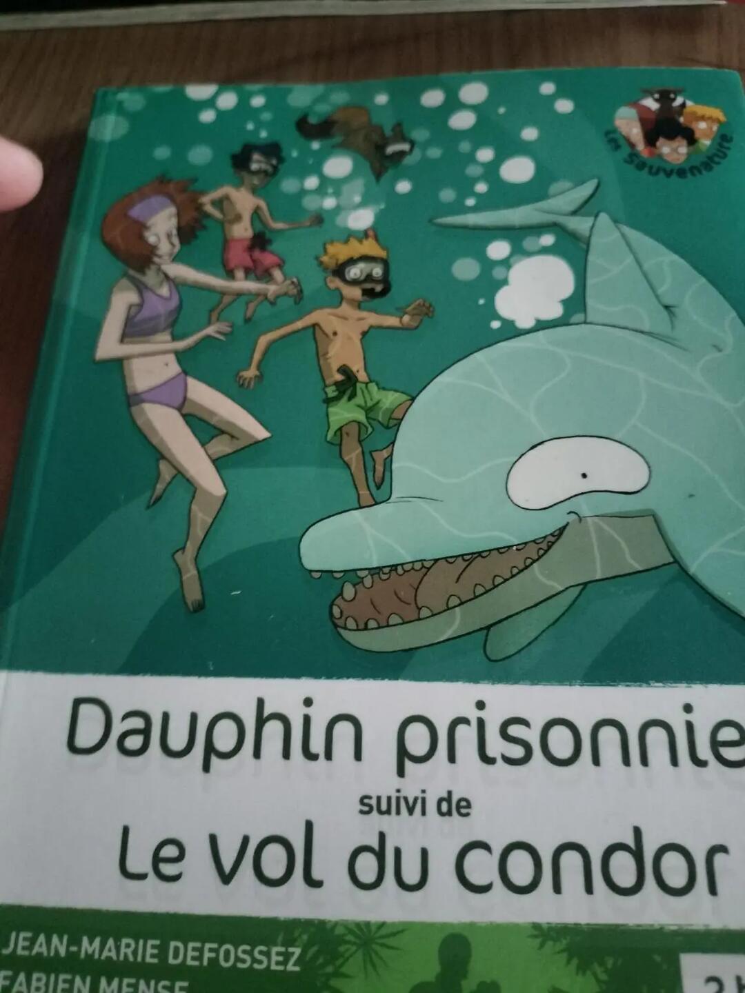 Don n°1
