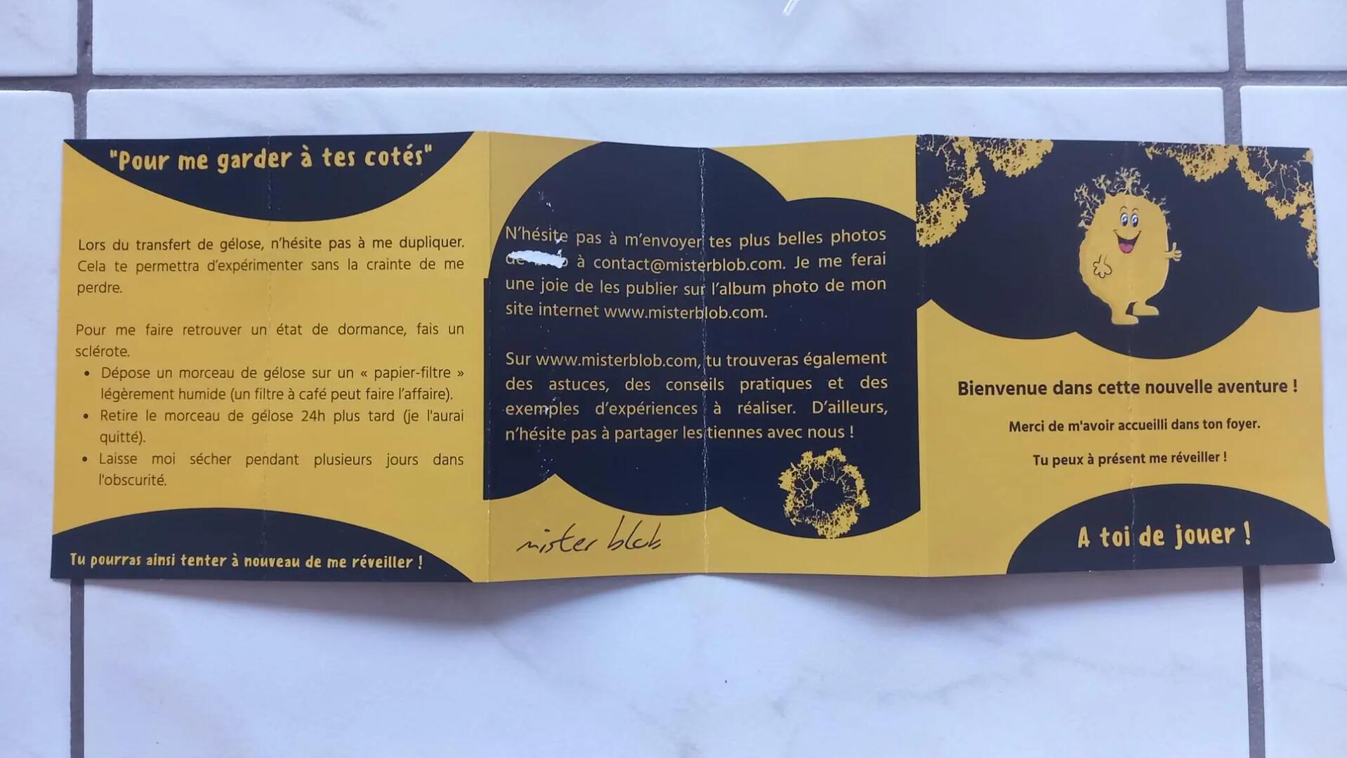 Don n°4