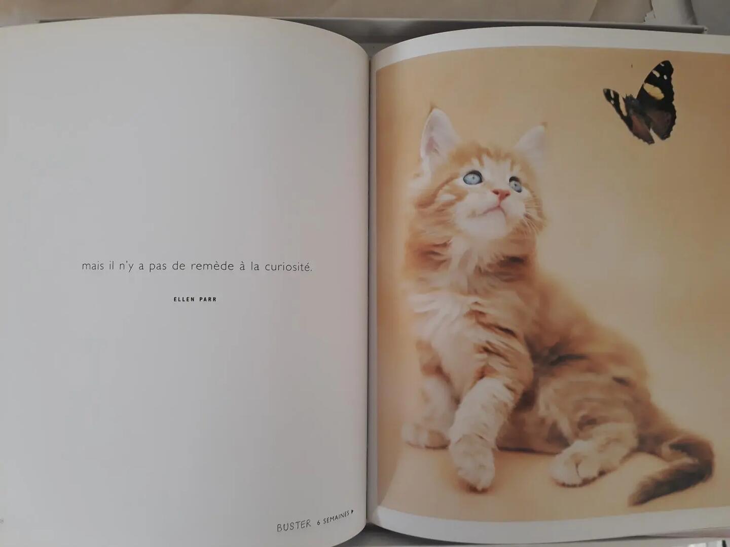 Don n°3