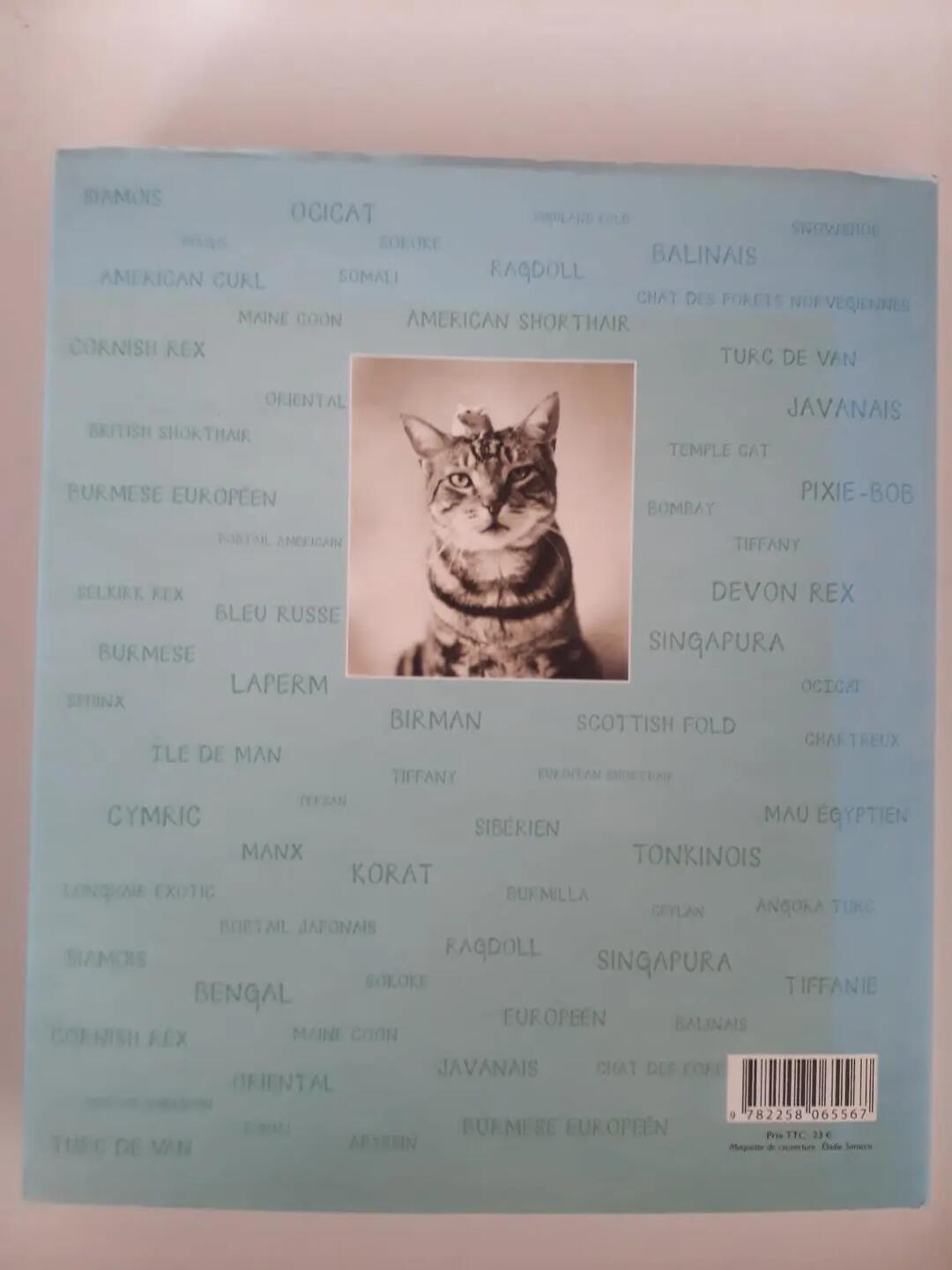 Don n°2
