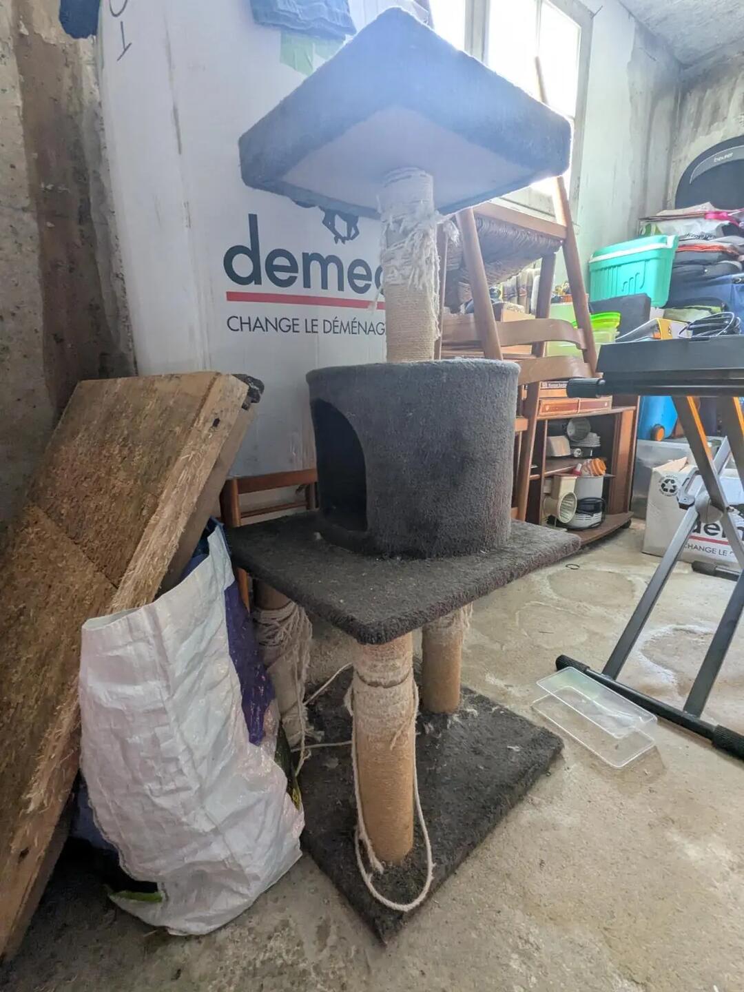 Don n°1