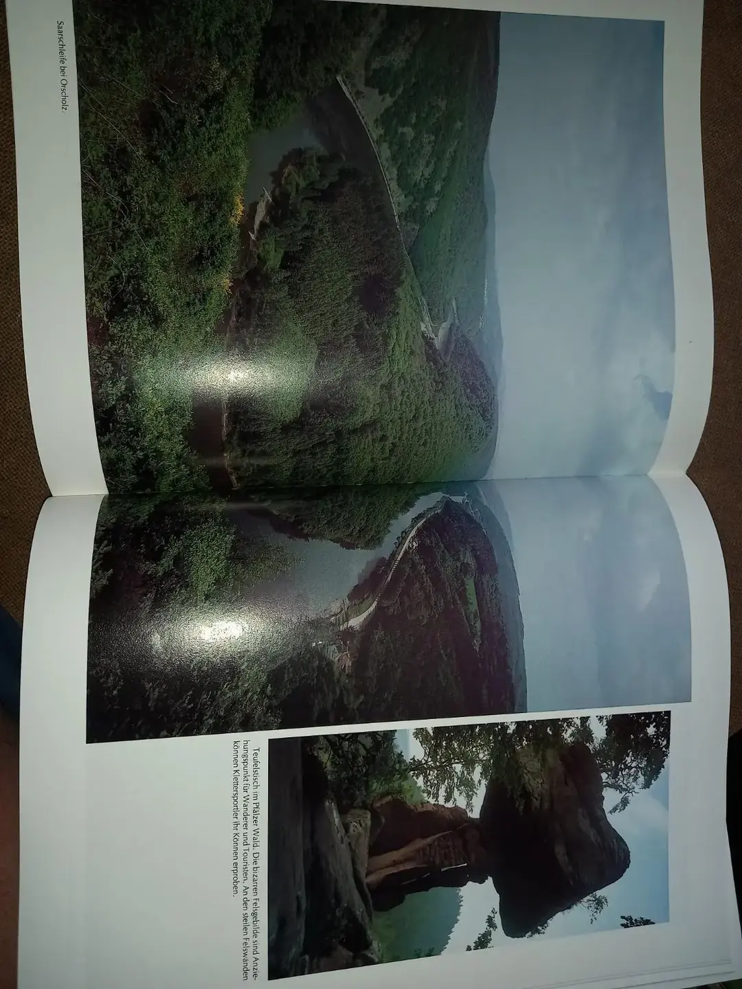 Don n°4