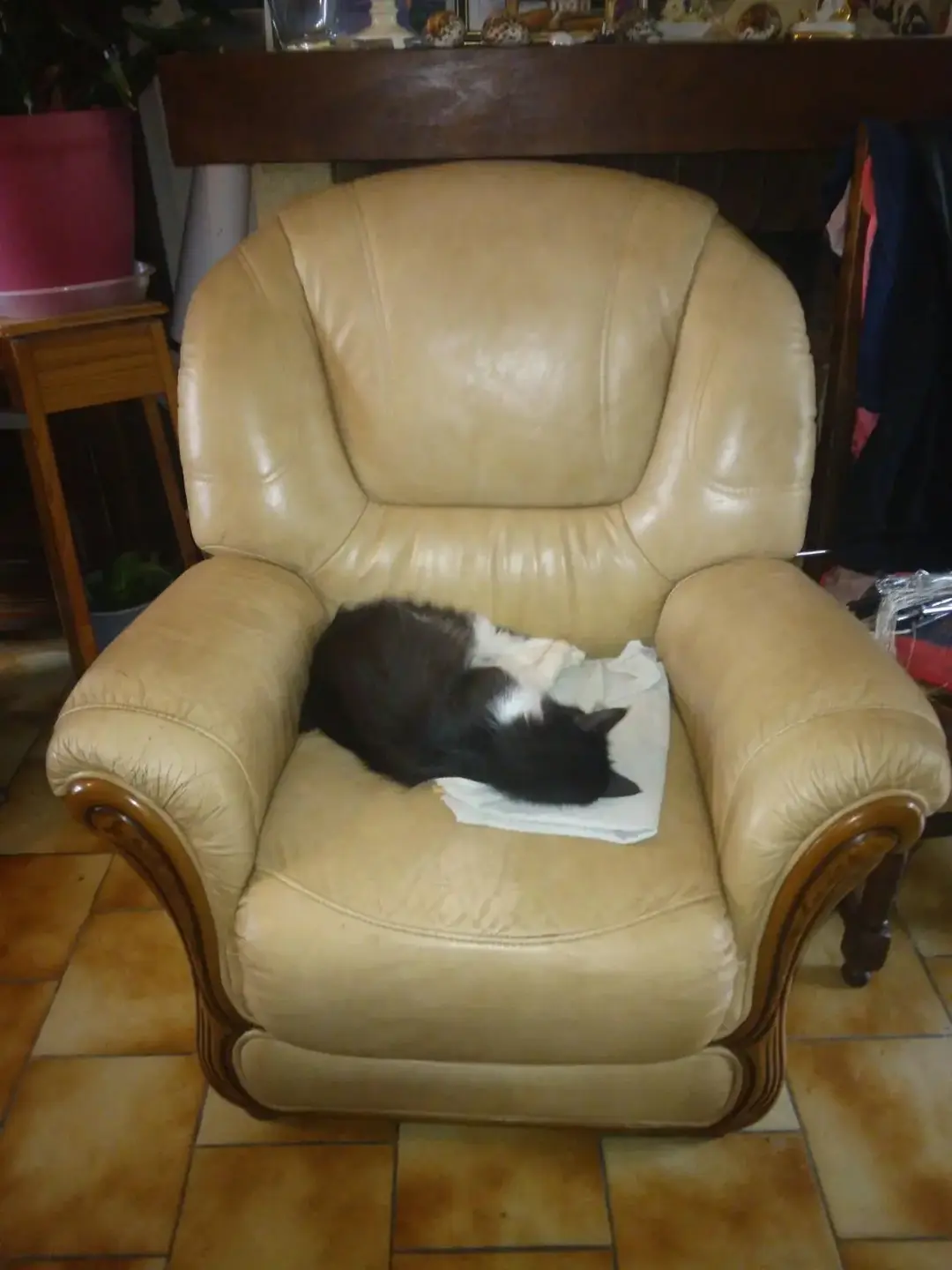 Don n°1