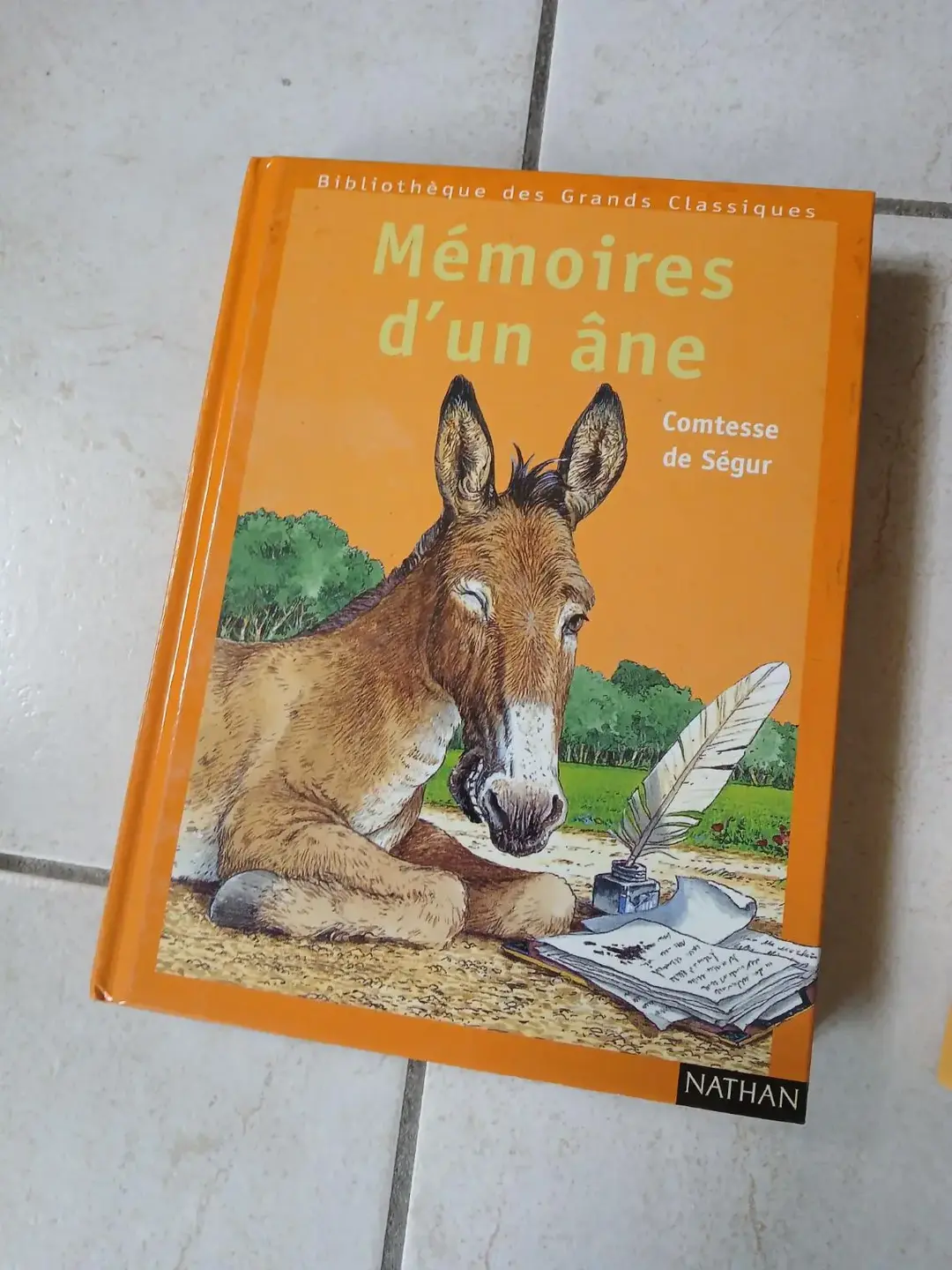Don n°2