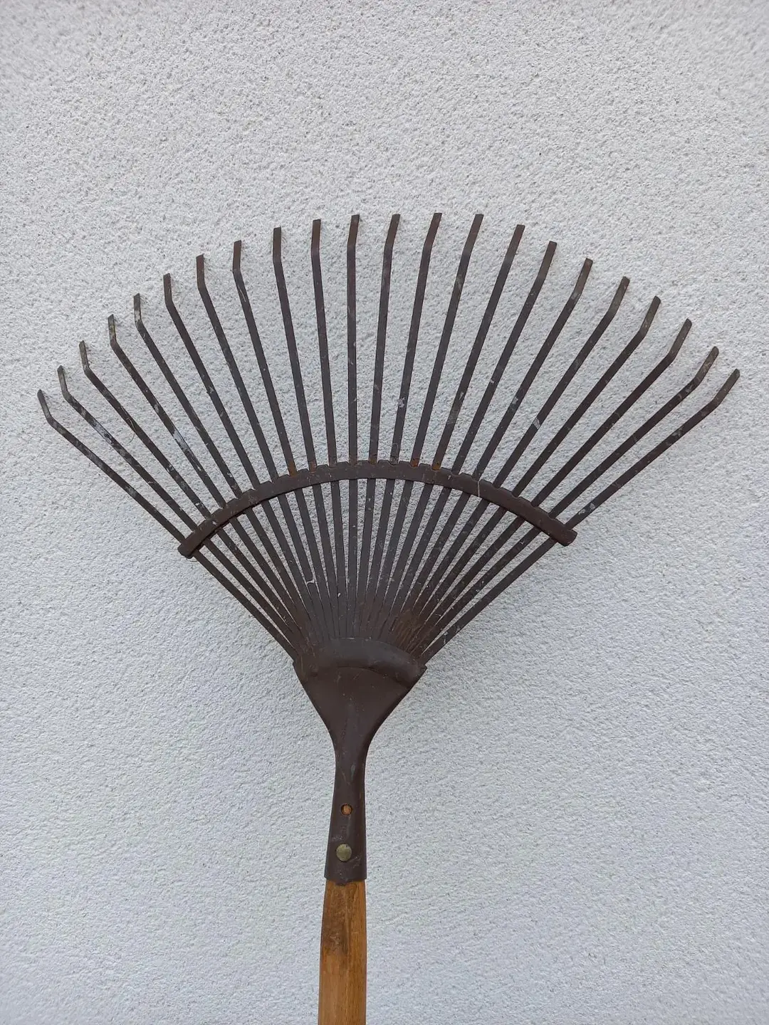 Don n°1