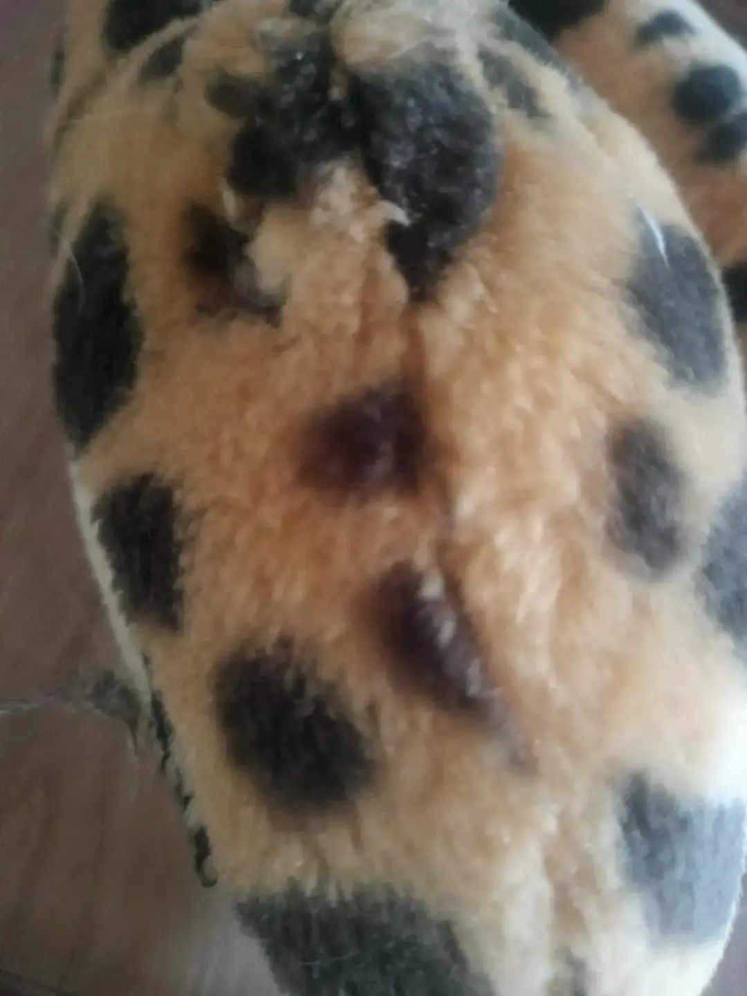 Don n°2